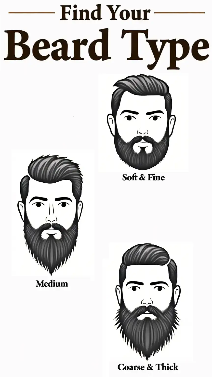 Illustration of different beard types: soft, medium, and coarse, to help identify beard characteristics for proper care and product selection.