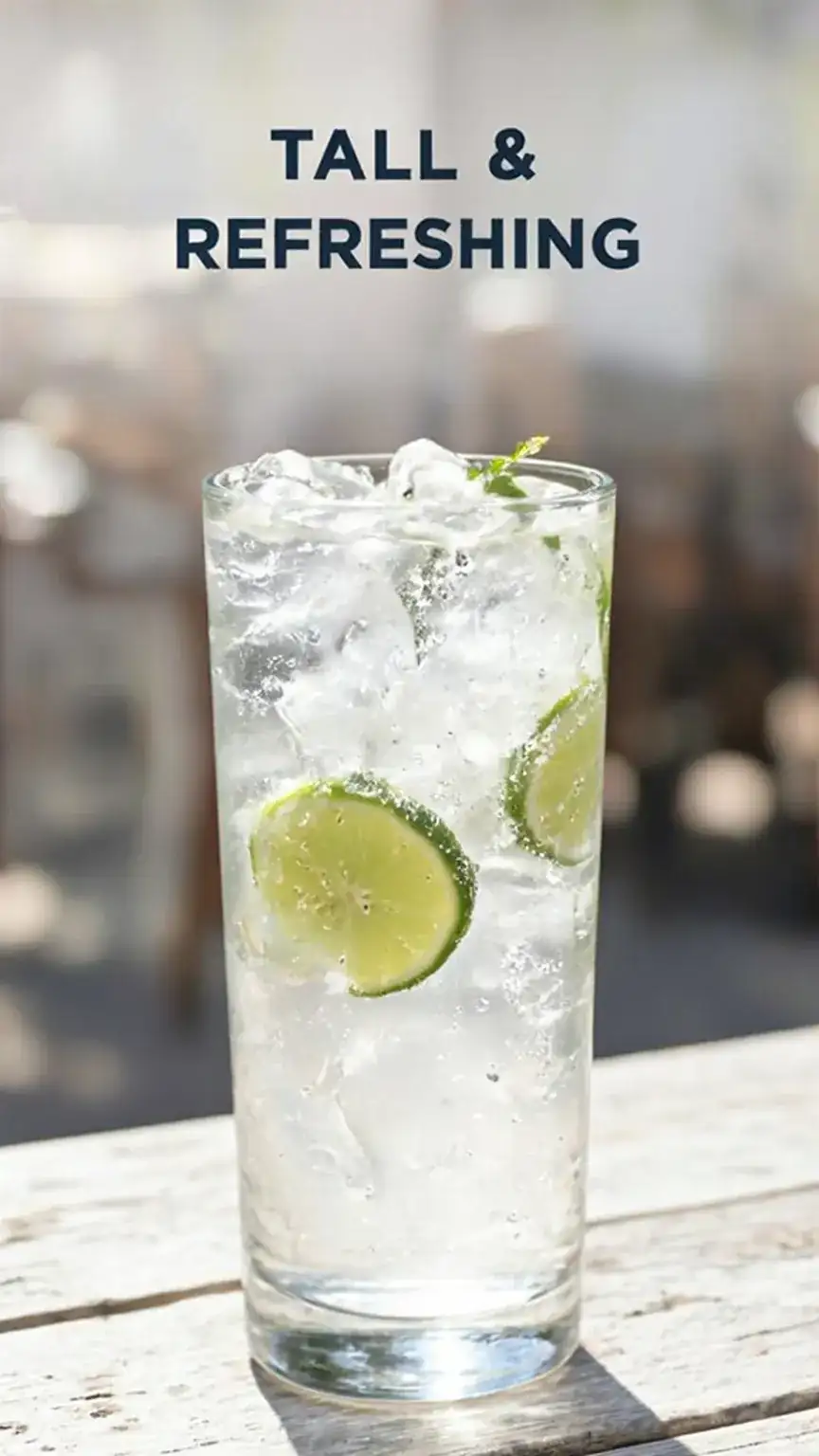 Highball glass with Gin and Tonic, perfect for refreshing mixed drinks. Best bar glasses, glassware guide.